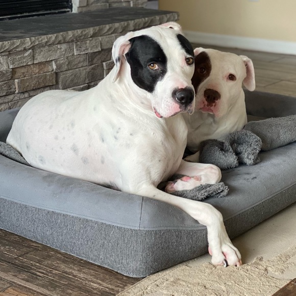 Meet your Posher, Laura 🐝 - Picture 9 of 13